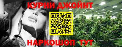 сатива Волжский