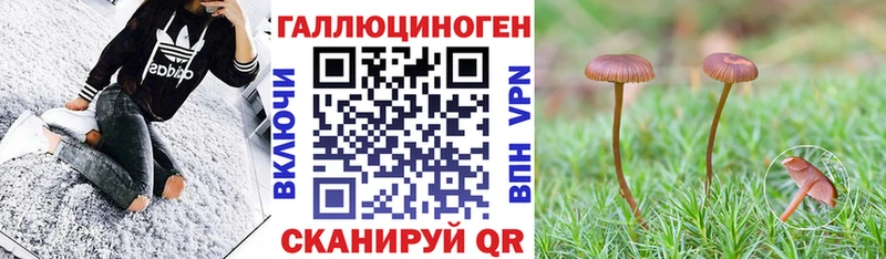 Галлюциногенные грибы Cubensis  даркнет сайт  Красногорск 