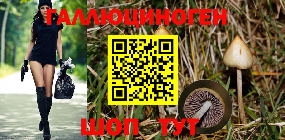 Галлюциногенные грибы мухоморы Красногорск