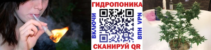 где купить наркоту  Красногорск  Конопля ГИДРОПОН 